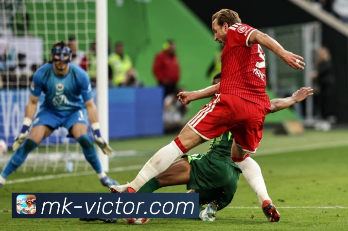 世界杯竞猜游戏全攻略详解助你提升胜率技巧秘籍分享