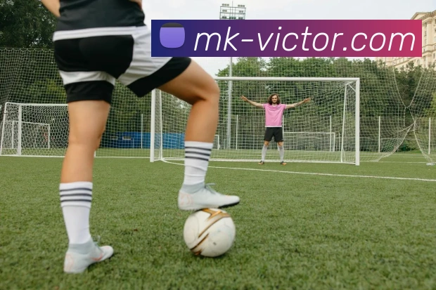 MK体育平台展示图